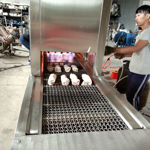 源头厂家  猪皮烧毛机  肉皮烧毛机  牛皮双层网带烧毛机