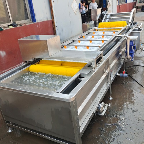 蒲公英清洗机  包菜清洗机  酸菜脱盐清洗机  义康制造