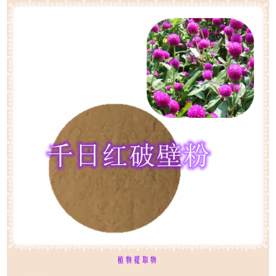 千日红粉 千日红提取物 千日红浸膏   千日红破壁粉