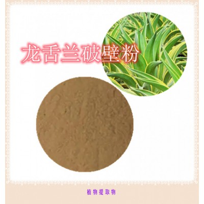 龙舌兰粉 龙舌兰提取物 龙舌兰浸膏  龙舌兰破壁粉