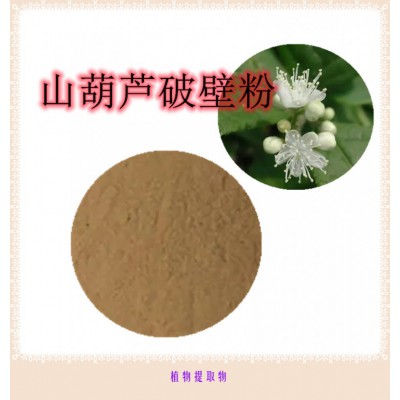 山葫芦粉 山葫芦提取物 山葫芦浸膏 山葫芦破壁粉