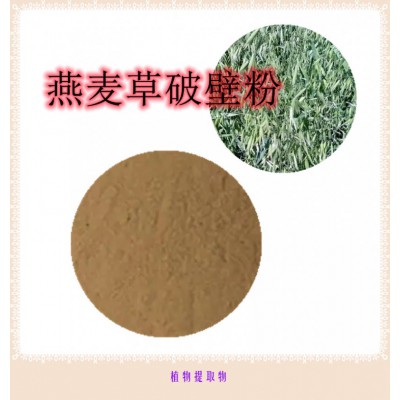 燕麦草粉  燕麦草提取物 燕麦草浸膏  燕麦草破壁粉