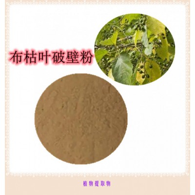布枯叶粉 布枯叶提取物 布枯叶浸膏  布枯叶破壁粉