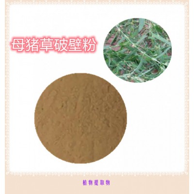 母猪草粉 母猪草提取物 母猪草浸膏 母猪草破壁粉