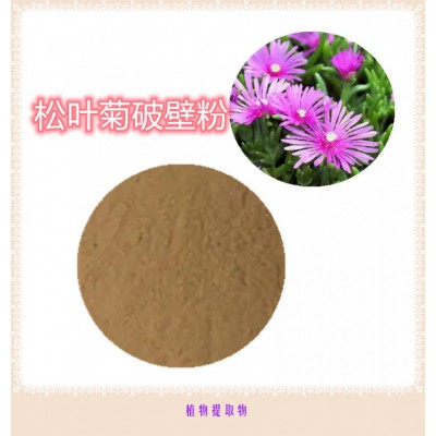 松叶菊粉 松叶菊提取物 松叶菊浸膏 松叶菊破壁粉