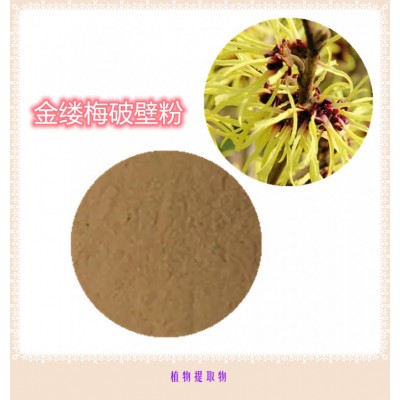 金缕梅提取物   金缕梅浸膏  金缕梅粉   金缕梅破壁粉