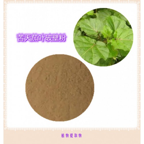 苦天茄叶提取物 苦天茄叶浸膏  苦天茄叶粉  苦天茄叶破壁粉