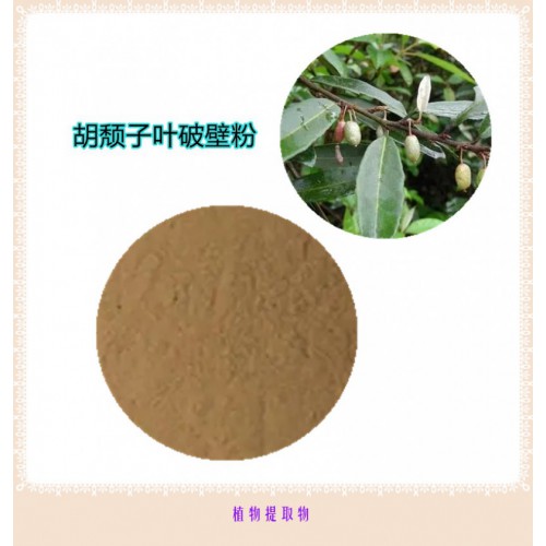 胡颓子叶粉 胡颓子叶破壁粉  胡颓子叶提取液