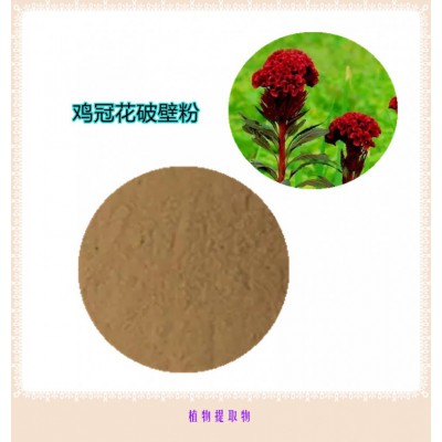 鸡冠花粉 鸡冠花提取物  鸡冠花浸膏 鸡冠花破壁粉