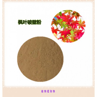 枫叶粉 枫叶提取物 枫叶浸膏 枫叶破壁粉
