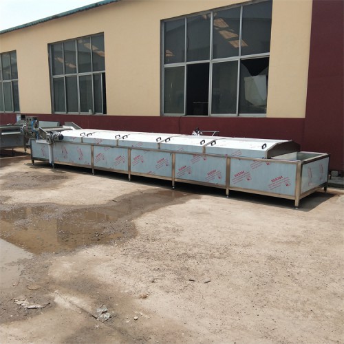 蔬菜杀青机  叶菜杀青机  西蓝花杀青机  义康食品机械