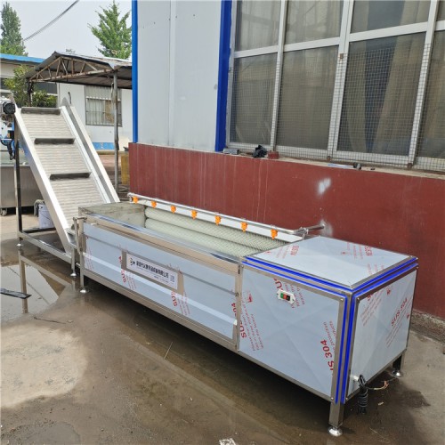 义康牌 萝卜清洗机  胡萝卜清洗设备 藠头清洗机