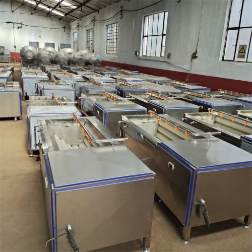 猪爪子清洗机  羊蹄清洗机 牛蹄清洗机 义康食品机械