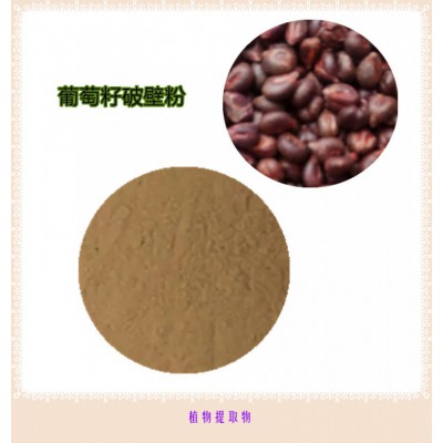 葡萄籽粉  葡萄籽提取物 葡萄籽浸膏 葡萄籽破壁粉