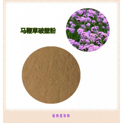马鞭草粉  马鞭草提取物  马鞭草浸膏 马鞭草破壁粉