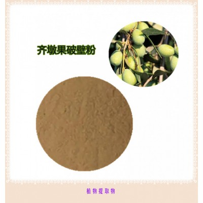 齐墩果粉  齐墩果提取物 齐墩果浸膏 齐墩果破壁粉