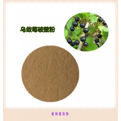 乌敛莓粉  乌敛莓提取物 乌敛莓浸膏 乌敛莓破壁粉