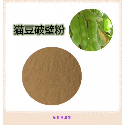 猫豆提取物  猫豆粉 猫豆破壁粉 猫豆提取液