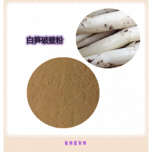 白笋粉 白笋提取物 白笋浸膏 白笋破壁粉