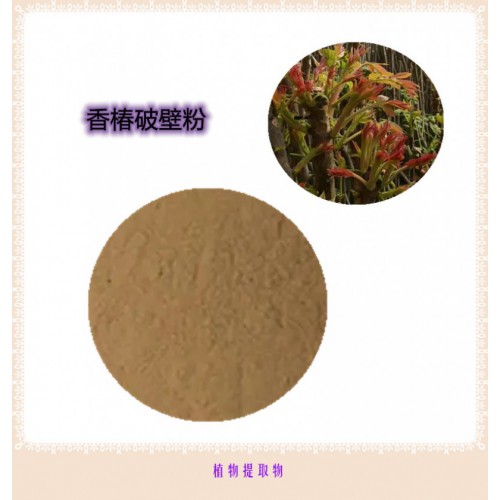 香椿粉 香椿提取物 香椿浸膏 香椿破壁粉