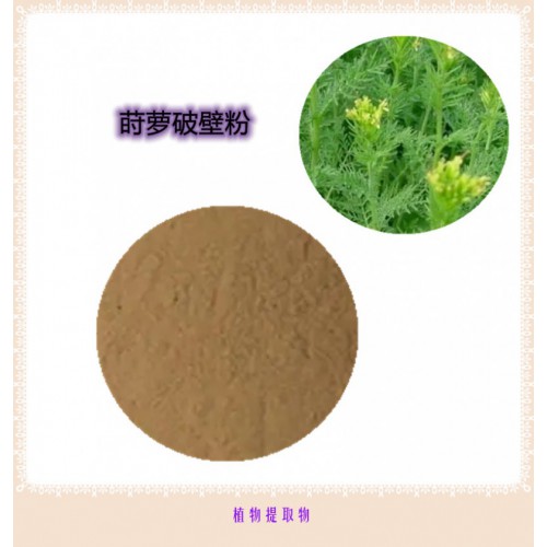 莳萝粉 莳萝提取物 莳萝浸膏 莳萝破壁粉