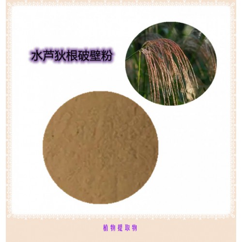 水芦狄根粉 水芦狄根提取物 水芦狄根浸膏 水芦狄根破壁粉
