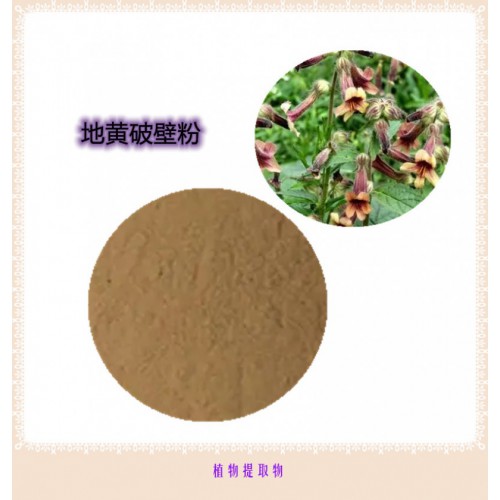 地黄粉 地黄提取物 地黄浸膏 地黄壁粉