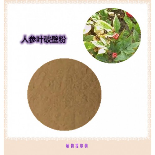 人参叶粉 人参叶提取物 人参叶浸膏 人参叶破壁粉
