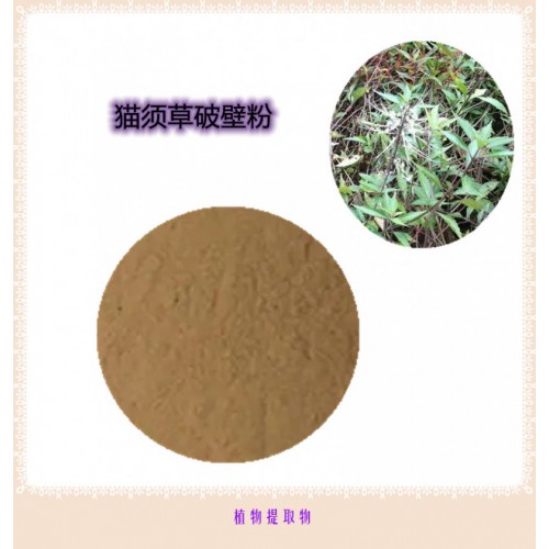 猫须草粉  猫须草提取物 猫须草浸膏 猫须草破壁粉