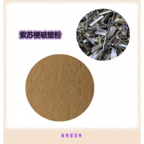 紫苏梗提取物  紫苏梗浸膏 紫苏梗粉  紫苏梗破壁粉