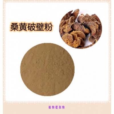 桑黄粉 桑黄提取物  桑黄浸膏 桑黄破壁粉
