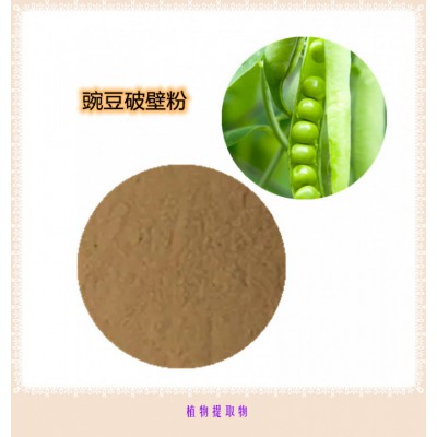 豌豆提取物 豌豆浸膏   豌豆粉 豌豆破壁粉