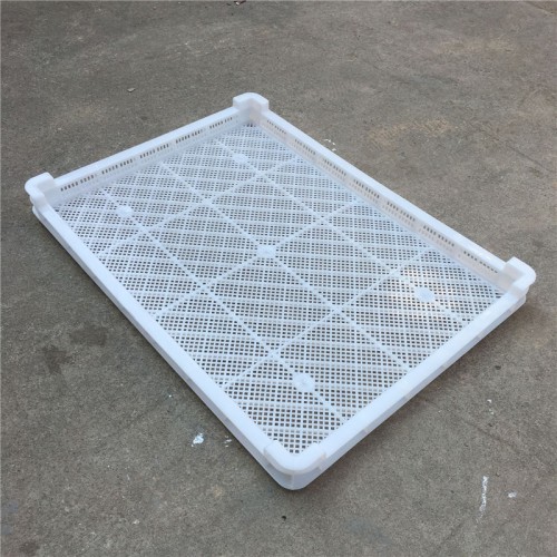 速冻盘 塑料冻盘 塑料食品冷冻盘