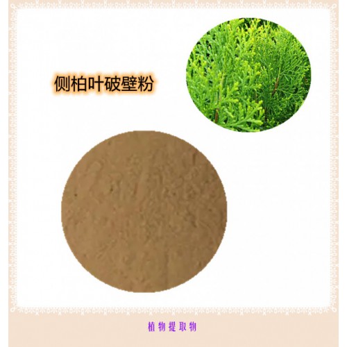 侧柏叶提取物 侧柏叶浸膏   侧柏叶粉 侧柏叶破壁粉