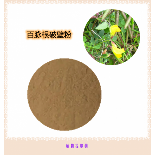 百脉根提取物 百脉根浸膏   百脉根粉 百脉根破壁粉