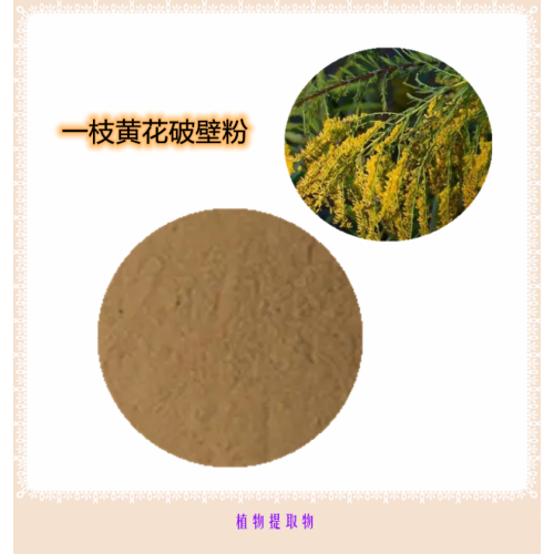一枝黄花提取物 一枝黄花浸膏   一枝黄花粉 一枝黄花破壁粉