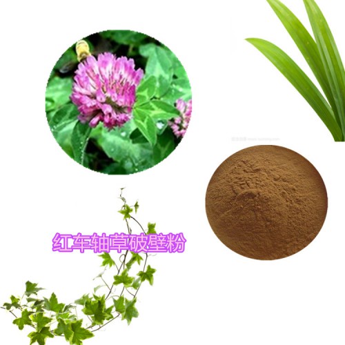 红车轴草提取物 红车轴草浸膏   红车轴草粉 红车轴草破壁粉
