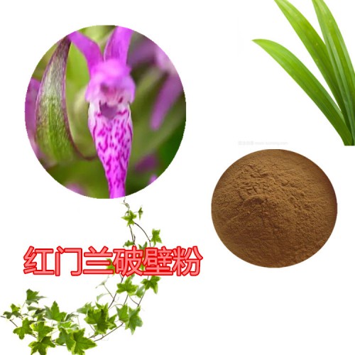 红门兰提取物 红门兰浸膏   红门兰粉 红门兰破壁粉