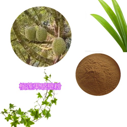 榴莲果提取物 榴莲果浸膏  榴莲果粉 榴莲果破壁粉