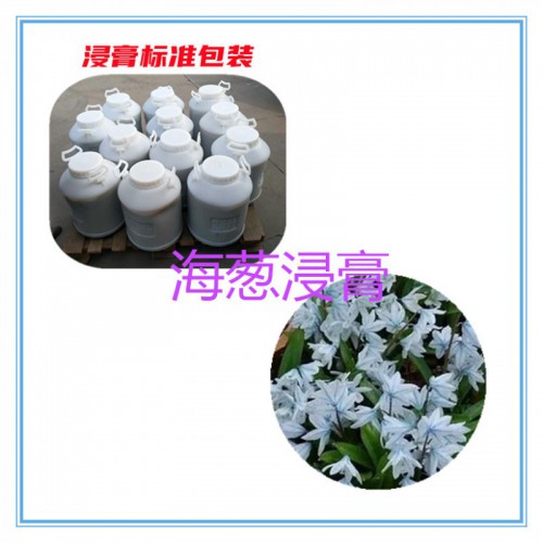 海葱提取物 海葱浸膏  海葱粉 海葱破壁粉