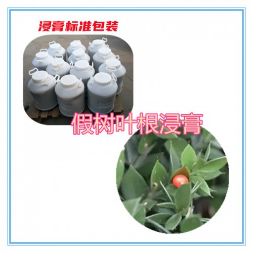 假树叶根提取物 假树叶根浸膏  假树叶根粉 假树叶根壁粉