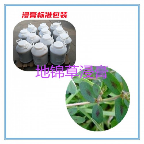地锦草提取物 地锦草浸膏  地锦草粉 地锦草壁粉