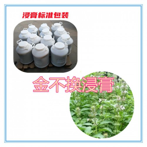 金不换提取物 金不换浸膏  金不换粉 金不换破壁粉