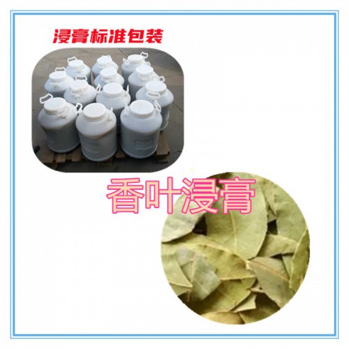 香叶提取物 香叶浸膏  香叶粉 香叶破壁粉