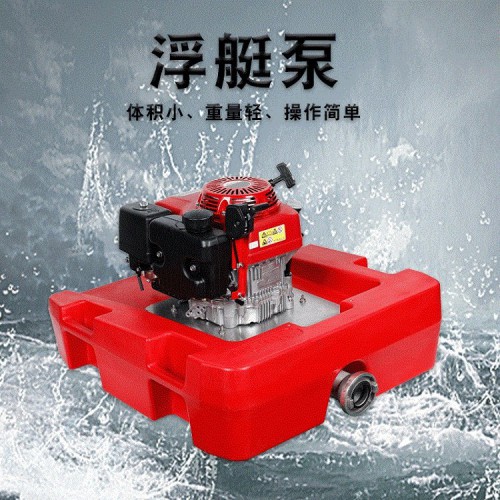 浮艇泵 华球浮挺泵遥控浮挺泵