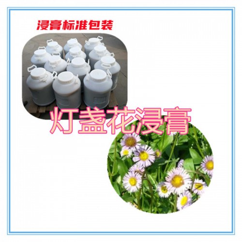 灯盏花提取物 灯盏花浸膏  灯盏花粉 灯盏花破壁粉