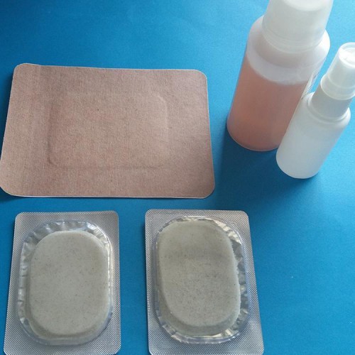 沙蒿子透皮贴厂家 沙蒿子饼加工厂家 源头厂天鑫