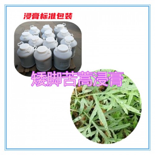 矮脚苦蒿提取物 矮脚苦蒿浸膏 矮脚苦蒿粉 矮脚苦蒿破壁粉
