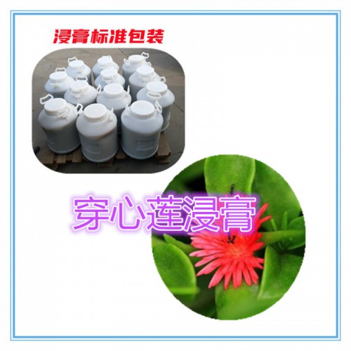穿心莲提取物 穿心莲浸膏 穿心莲粉 穿心莲破壁粉
