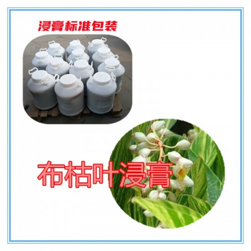 布枯叶提取物   布枯叶浸膏 布枯叶粉 布枯叶破壁粉